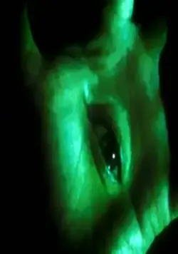 Врата (1986) в хорошем качестве через торрент Врата (1986) фильм в хорошем качестве через торрент