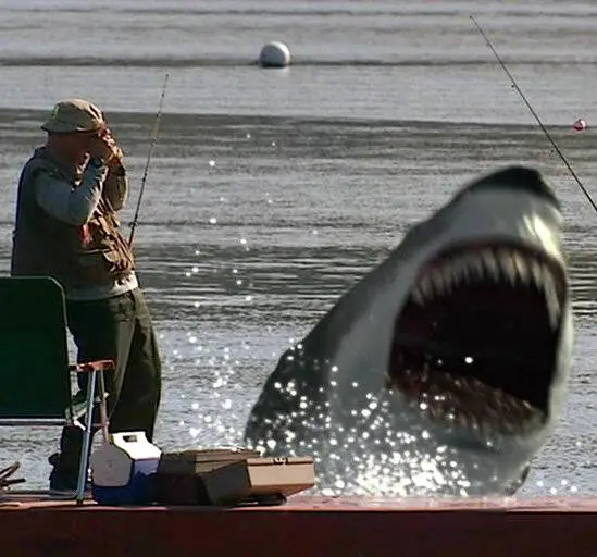 Инстинкт хищника (2004) в хорошем качестве через торрент Инстинкт хищника (2004) фильм в хорошем качестве через торрент