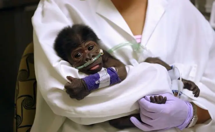 Спасти планету (2020) через торрент скачать Спасти планету (2020) фильм через торрент скачать