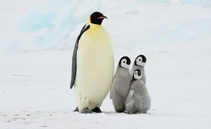 Спасти планету (2020) через торрент бесплатно Спасти планету (2020) фильм через торрент бесплатно