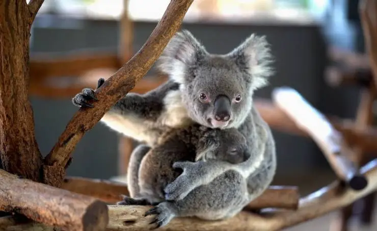 Спасти планету (2020) в хорошем качестве через торрент Спасти планету (2020) фильм в хорошем качестве через торрент