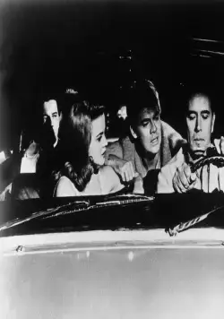 Кошечка с хлыстом (1964) через торрент бесплатно Кошечка с хлыстом (1964) фильм через торрент бесплатно