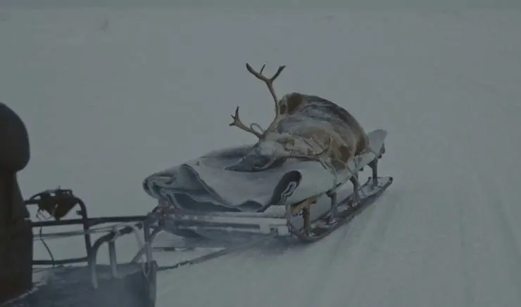 Голоса Арктики (2022) в хорошем качестве через торрент Голоса Арктики (2022) фильм в хорошем качестве через торрент