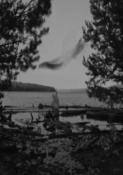 Волнами (2022) через торрент скачать Волнами (2022) фильм через торрент скачать