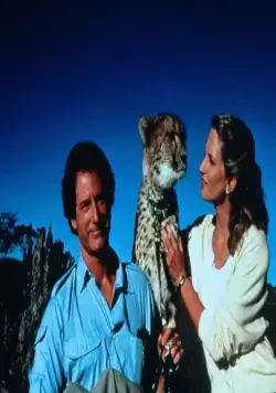 Гепард (1989) в хорошем качестве через торрент Гепард (1989) фильм в хорошем качестве через торрент