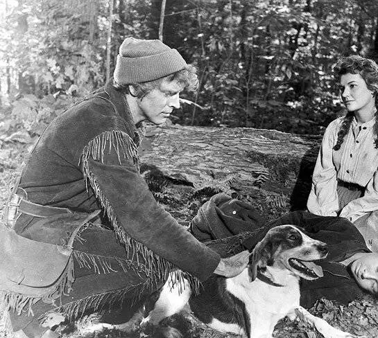 Человек из Кентукки (1955) через торрент скачать Человек из Кентукки (1955) фильм через торрент скачать