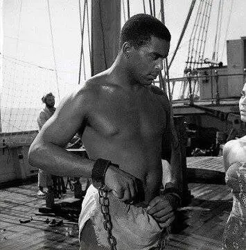 Таманго (1958) через торрент скачать Таманго (1958) фильм через торрент скачать