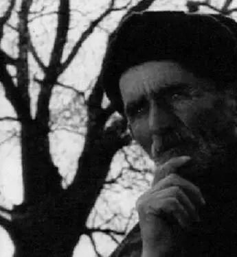 Саженцы (1972) через торрент скачать Саженцы (1972) фильм через торрент скачать