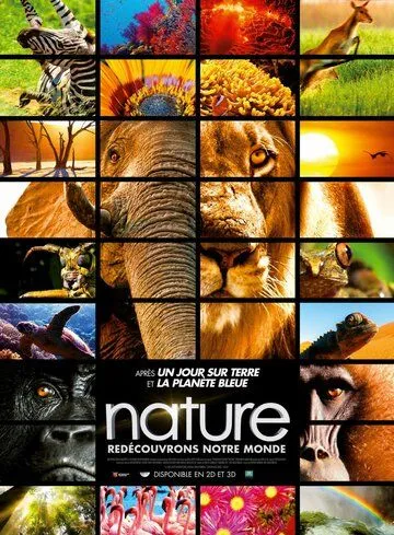 Заколдованное королевство 3D / Enchanted Kingdom 3D (2014) фильм скачать через торрент в хорошем качестве