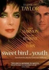 Сладкоголосая птица юности / Sweet Bird of Youth (1989) фильм скачать через торрент в хорошем качестве