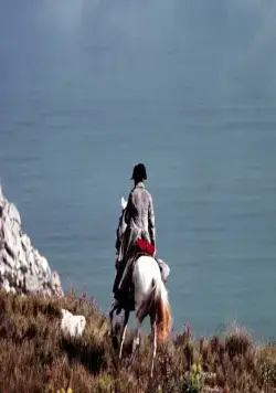 Месье N. (2003) через торрент бесплатно Месье N. (2003) фильм через торрент бесплатно