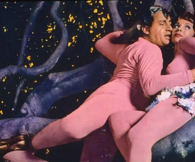 Учитель из Виджевано (1963) через торрент бесплатно Учитель из Виджевано (1963) фильм через торрент бесплатно