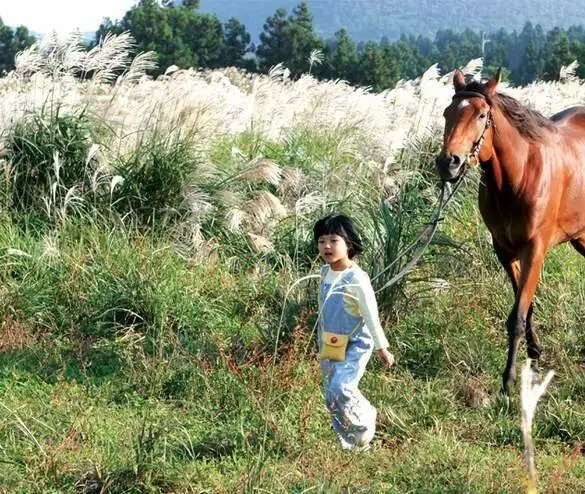 Кусочки сахара (2006) через торрент скачать Кусочки сахара (2006) фильм через торрент скачать