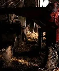 Мучение (2004) в хорошем качестве через торрент Мучение (2004) фильм в хорошем качестве через торрент