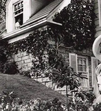 Чай и симпатия (1956) через торрент скачать Чай и симпатия (1956) фильм через торрент скачать