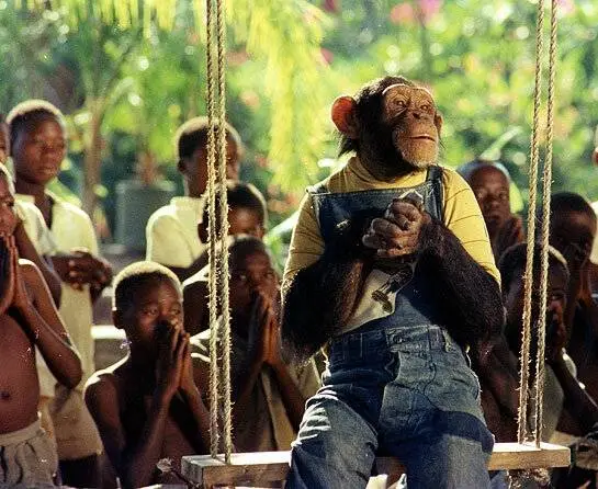 Африка экспресс (1975) через торрент бесплатно Африка экспресс (1975) фильм через торрент бесплатно