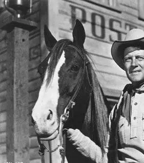 Вирджинец (1946) через торрент бесплатно Вирджинец (1946) фильм через торрент бесплатно