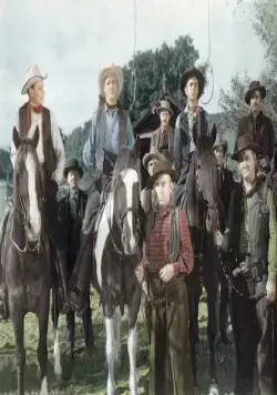 Вирджинец (1946) через торрент скачать Вирджинец (1946) фильм через торрент скачать