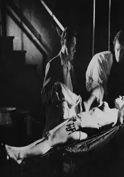 Перемалыватели трупов (1971) через торрент скачать Перемалыватели трупов (1971) фильм через торрент скачать