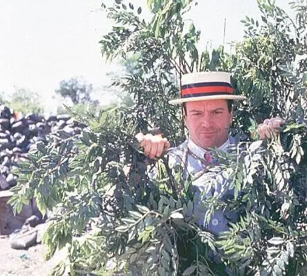 Семейка придурков (1996) через торрент бесплатно Семейка придурков (1996) фильм через торрент бесплатно