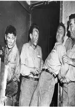 Большой дом (1955) через торрент скачать Большой дом (1955) фильм через торрент скачать