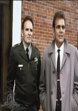 Леди в белом (1988) через торрент скачать Леди в белом (1988) фильм через торрент скачать