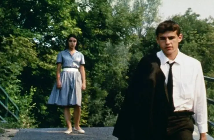 Дикий тростник (1994) в хорошем качестве через торрент Дикий тростник (1994) фильм в хорошем качестве через торрент