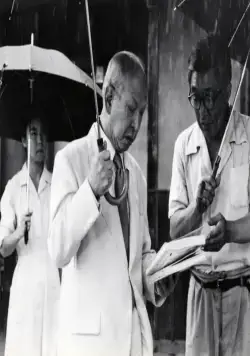 Черный дождь (1988) в хорошем качестве через торрент Черный дождь (1988) фильм в хорошем качестве через торрент