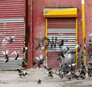 На запчасти (2007) через торрент бесплатно На запчасти (2007) фильм через торрент бесплатно