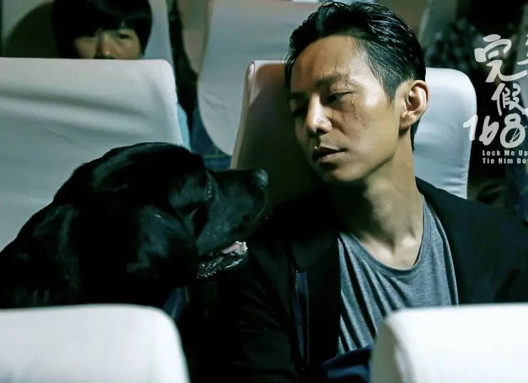 Запри меня, свяжи его (2014) через торрент бесплатно Запри меня, свяжи его (2014) фильм через торрент бесплатно