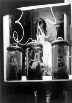 Родственник (1986) в хорошем качестве через торрент Родственник (1986) фильм в хорошем качестве через торрент