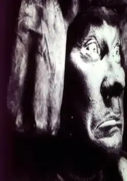 Голем, как он пришел в мир (1920) через торрент скачать Голем, как он пришел в мир (1920) фильм через торрент скачать