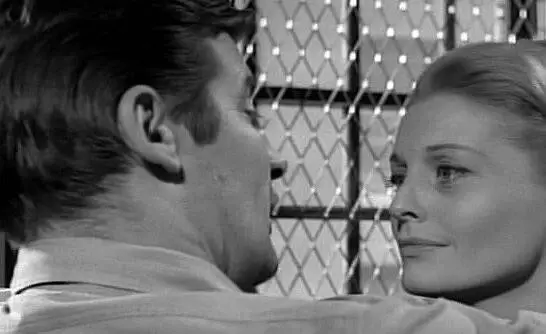 Шоковый коридор (1963) в хорошем качестве через торрент Шоковый коридор (1963) фильм в хорошем качестве через торрент