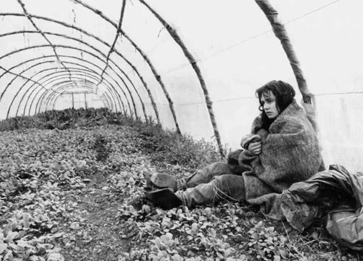 Без крыши, вне закона (1985) через торрент скачать Без крыши, вне закона (1985) фильм через торрент скачать