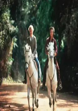 Зазубренное лезвие (1985) в хорошем качестве через торрент Зазубренное лезвие (1985) фильм в хорошем качестве через торрент