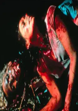 Берсеркер (1987) через торрент скачать Берсеркер (1987) фильм через торрент скачать