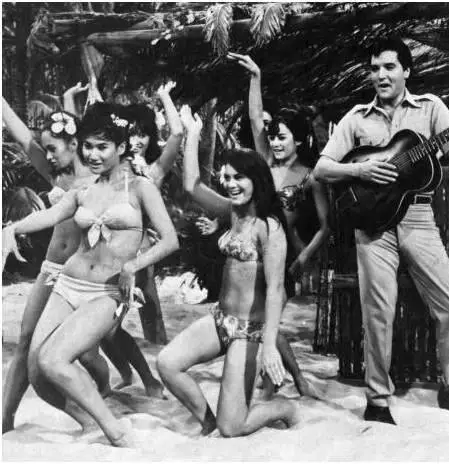 Рай в гавайском стиле (1966) через торрент скачать Рай в гавайском стиле (1966) фильм через торрент скачать