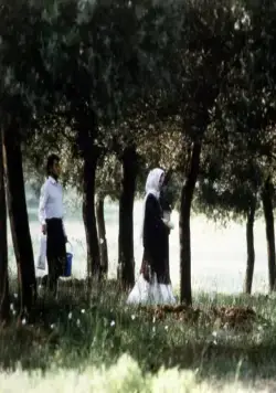 Сквозь оливы (1994) через торрент бесплатно Сквозь оливы (1994) фильм через торрент бесплатно