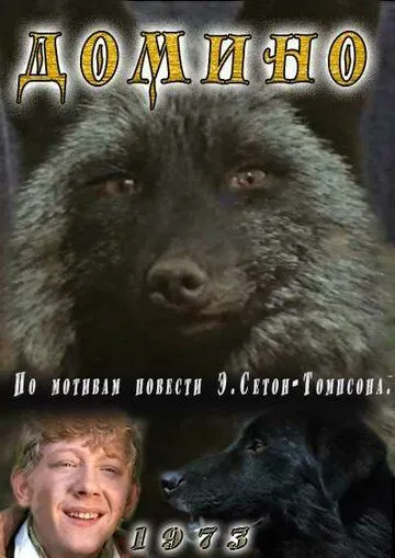 Домино (1973) фильм скачать через торрент в хорошем качестве