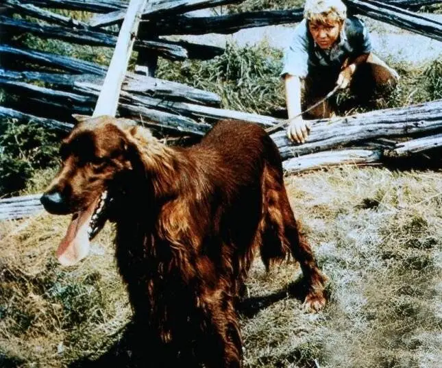 Большой Ред (1962) через торрент скачать Большой Ред (1962) фильм через торрент скачать