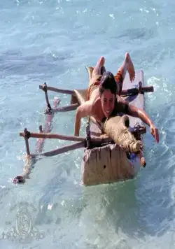 Легенда о Джонни Линго (2003) в хорошем качестве через торрент Легенда о Джонни Линго (2003) фильм в хорошем качестве через торрент