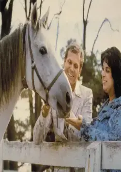 Полиэстер (1981) через торрент бесплатно Полиэстер (1981) фильм через торрент бесплатно