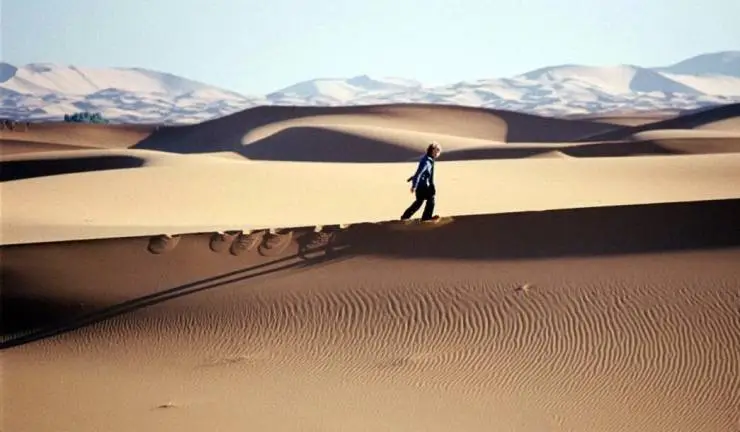 Мечта Липпеля (2009) через торрент скачать Мечта Липпеля (2009) фильм через торрент скачать