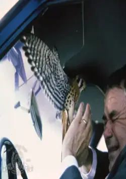 Посетитель (1979) через торрент бесплатно Посетитель (1979) фильм через торрент бесплатно