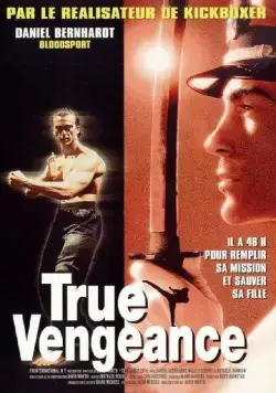 Один против якудза / True Vengeance (1997) фильм скачать через торрент в хорошем качестве