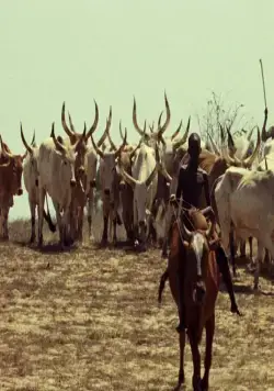 Туки-Буки (1973) в хорошем качестве через торрент Туки-Буки (1973) фильм в хорошем качестве через торрент