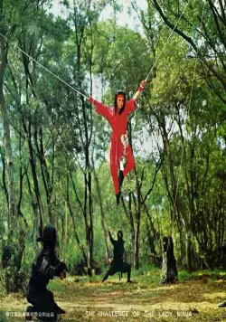 Задание леди-ниндзя (1983) через торрент скачать Задание леди-ниндзя (1983) фильм через торрент скачать