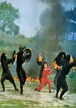 Задание леди-ниндзя (1983) через торрент бесплатно Задание леди-ниндзя (1983) фильм через торрент бесплатно