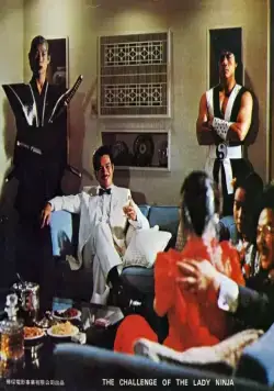 Задание леди-ниндзя (1983) в хорошем качестве через торрент Задание леди-ниндзя (1983) фильм в хорошем качестве через торрент