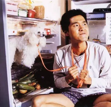 Лающие собаки никогда не кусают (2000) в хорошем качестве через торрент Лающие собаки никогда не кусают (2000) фильм в хорошем качестве через торрент